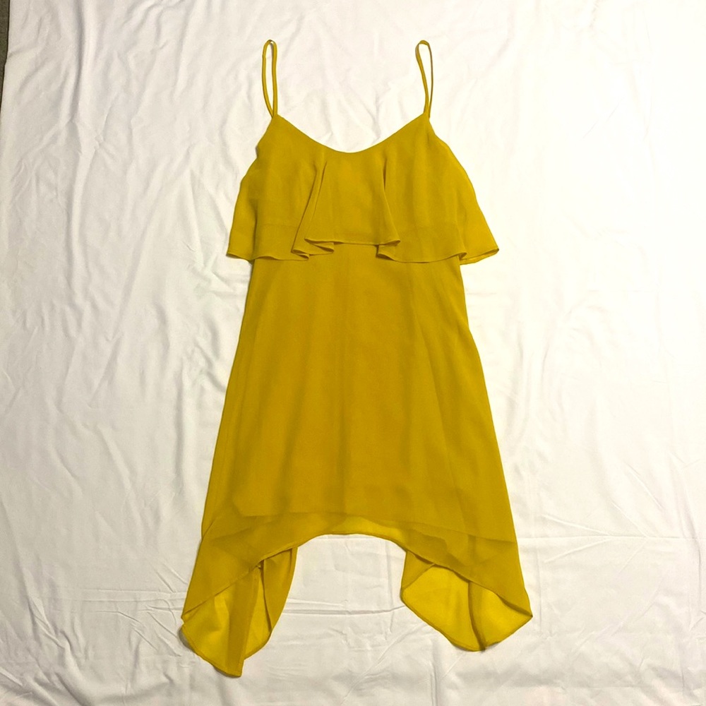 BCBG Chiffon Dress